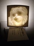 Custom PARC Lithophane Nightlight
