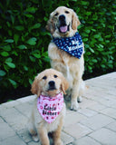 Dog Bandana - Pink or Blue Bone and Paw Print Siblings